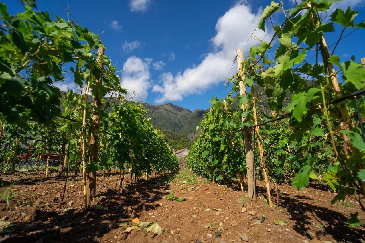 הוילה São Vicente Quinta Vale Vitis